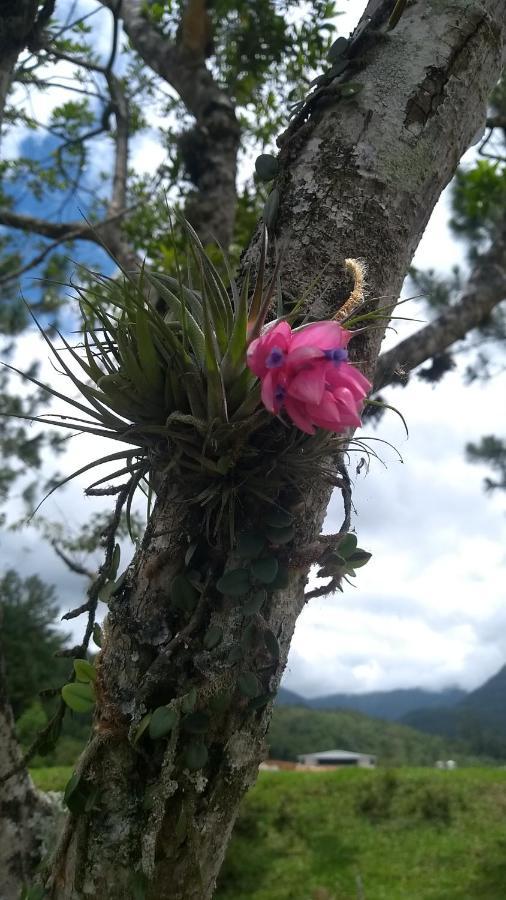 Hostel E Pousada Vale Mirante Da Rocha Timbe do Sul Zewnętrze zdjęcie