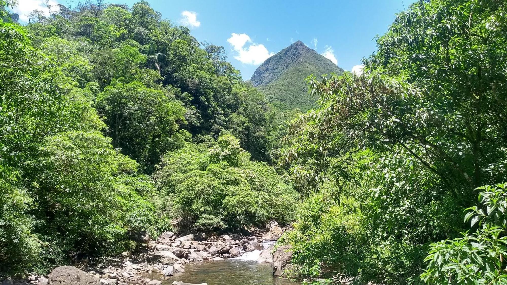 Hostel E Pousada Vale Mirante Da Rocha Timbe do Sul Zewnętrze zdjęcie